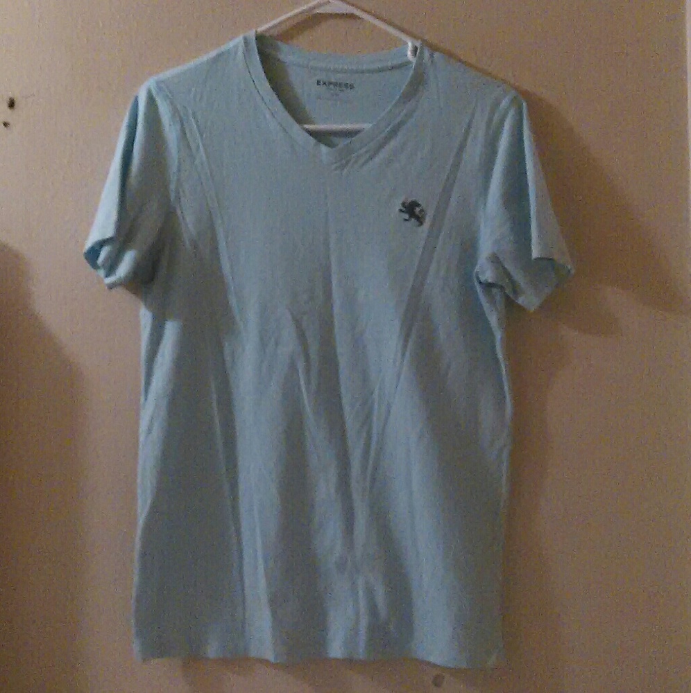 Express v-neck tee